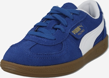 Baskets 'Palermo' PUMA en bleu : devant