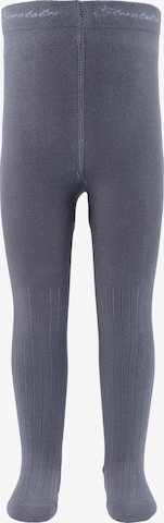 STERNTALER Strumpfhose in Blau: Vorderseite