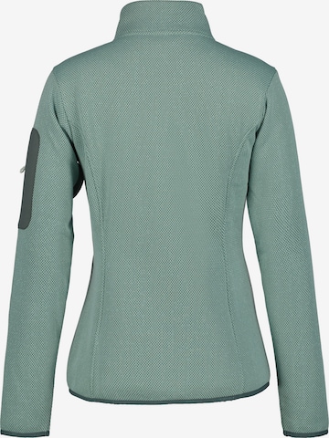 ICEPEAK Athletic Fleece Jacket in Green