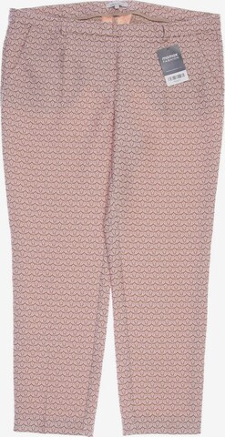 apriori Pants in XL in Pink: front
