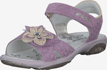 PRIMIGI Sandals in Purple: front