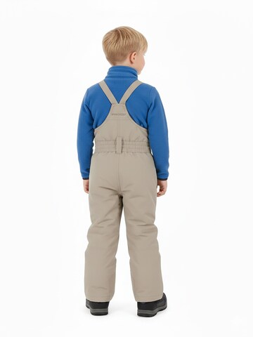 PROTEST Regular Sports trousers 'NEUTRAL TD' in Brown