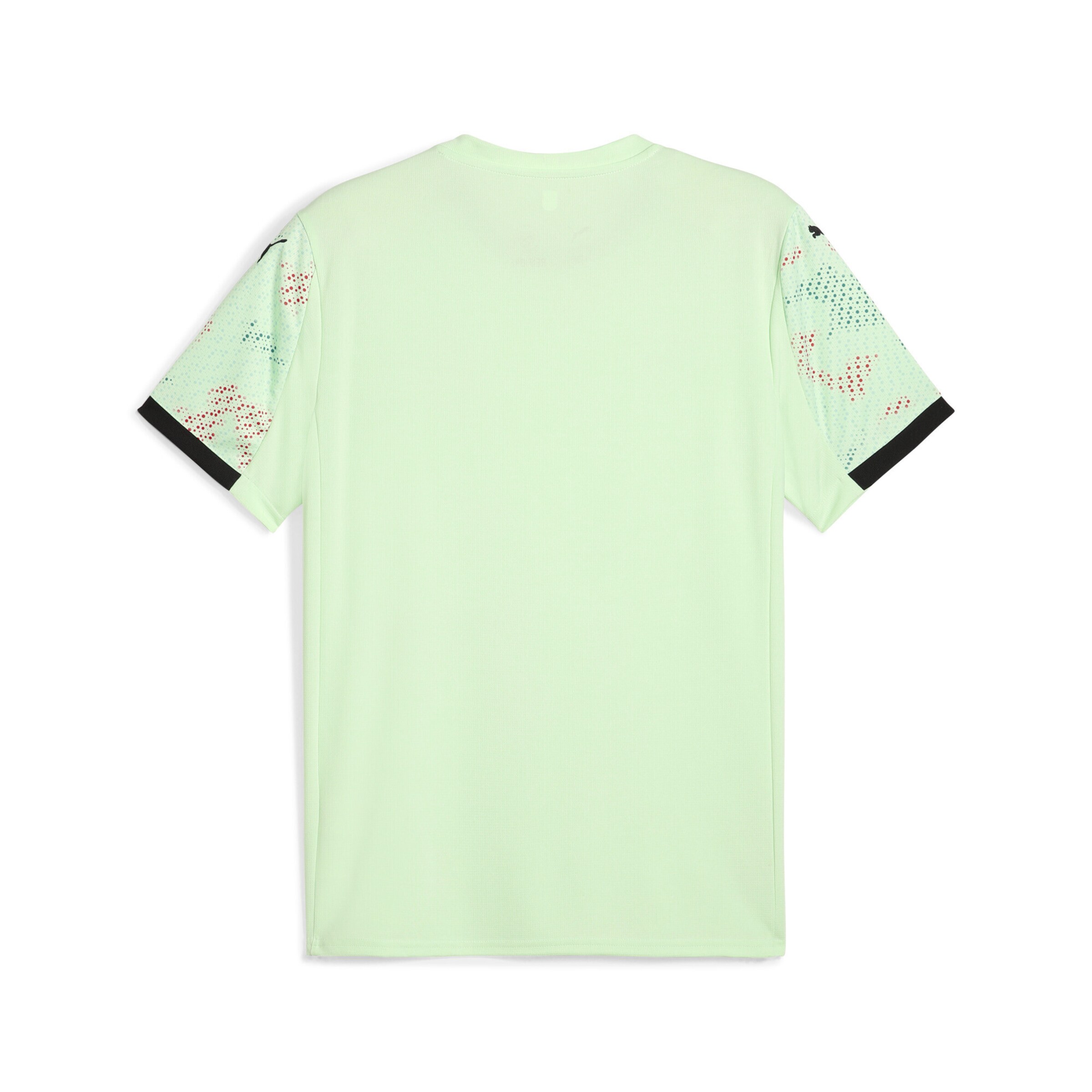 PUMA Trikot 'Portugal Team 2025' in Grün