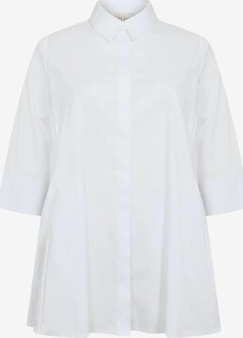 Wasabi Concept Pusero värissä valkoinen: etupuoli