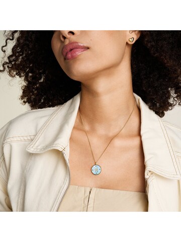 FOSSIL Necklace in Gold