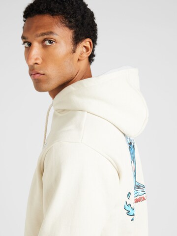 Santa Cruz Sweatshirt 'SCREAMING WAVE' in Grau