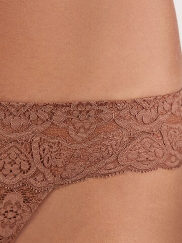 INTIMISSIMI Panty in Brown