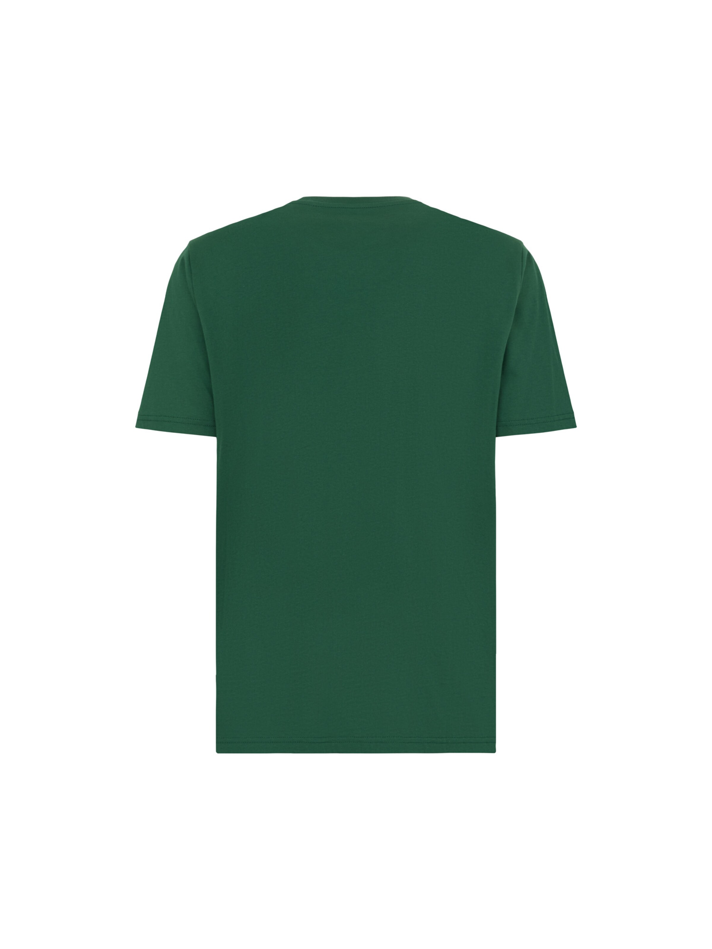 DICKIES - Camisa 'Mapleton' em verde