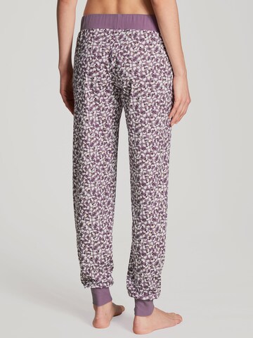 CALIDA Normalny krój Spodnie od piżamy w kolorze fioletowy
