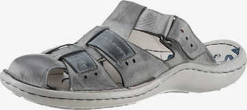 KRISBUT Clogs in Grey: front