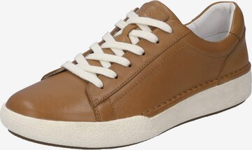 JOSEF SEIBEL Sneaker in Braun: Vorderseite
