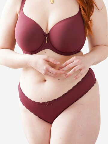 SugarShape String 'True' in Rot