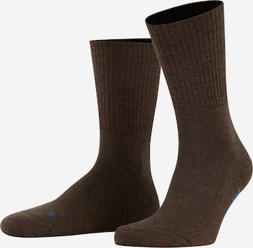 Chaussettes de sport FALKE en marron : devant