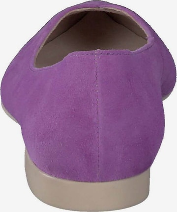 Paul Green Ballet Flats in Purple