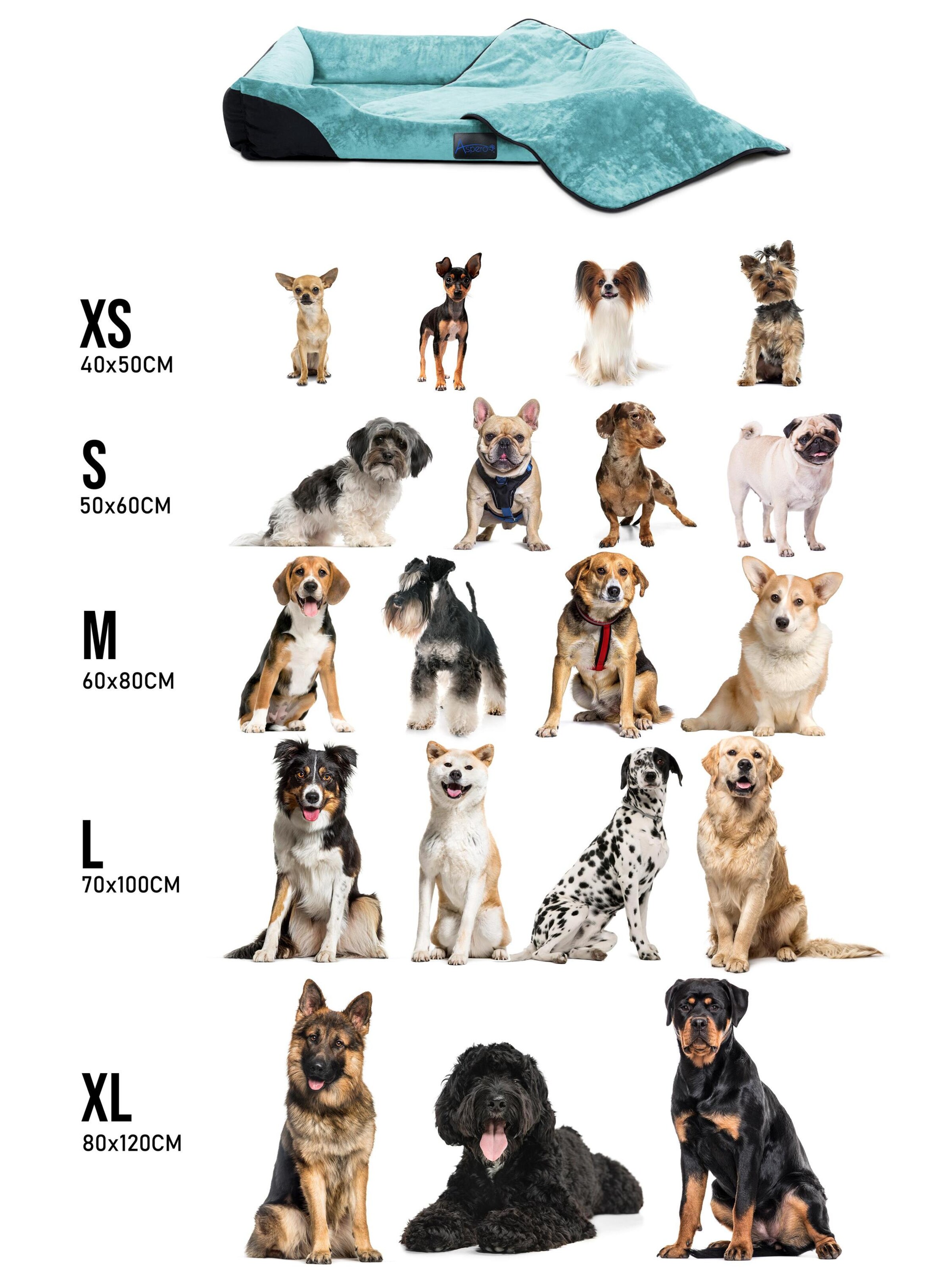 Aspero Accessoires voor dieren 'Hanko und Lund' in Blauw