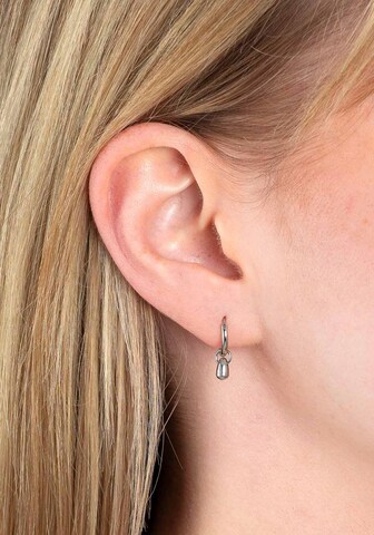 LEONARDO Earrings in Silver: front