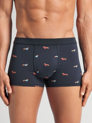 IUMAN Boxershorts in Blau: Vorderseite