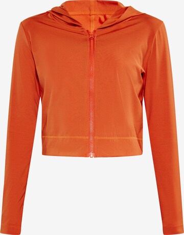 faina Athlsr Zip-Up Hoodie in Orange: front