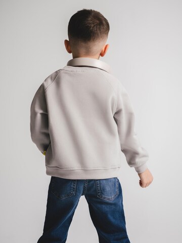 SATURNDAY Sweatshirt 'Krokodil Football' in Grijs
