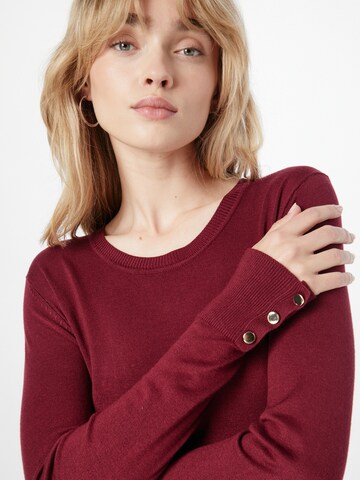 Dorothy Perkins Pullover in Rot