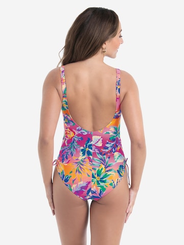 ROSA FAIA Swimsuit 'Sunset Bay' in Pink