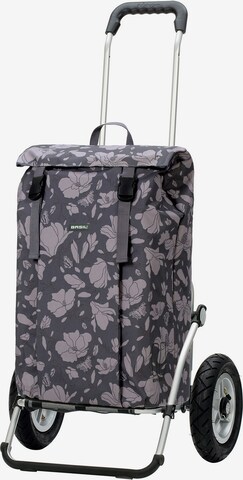 Andersen Shopper Cart in Grey: front