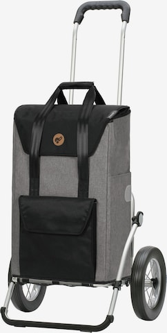 Andersen Shopper Cart 'Senta' in Grey: front
