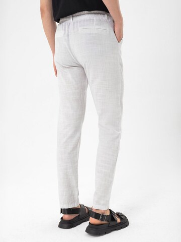 Regular Pantalon By Diess Collection en gris