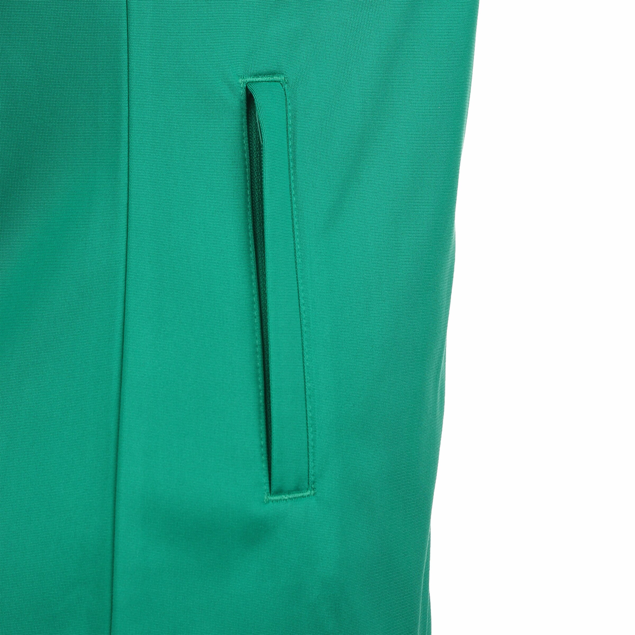 PUMA Trainingsjacke 'Team Liga' in Grün