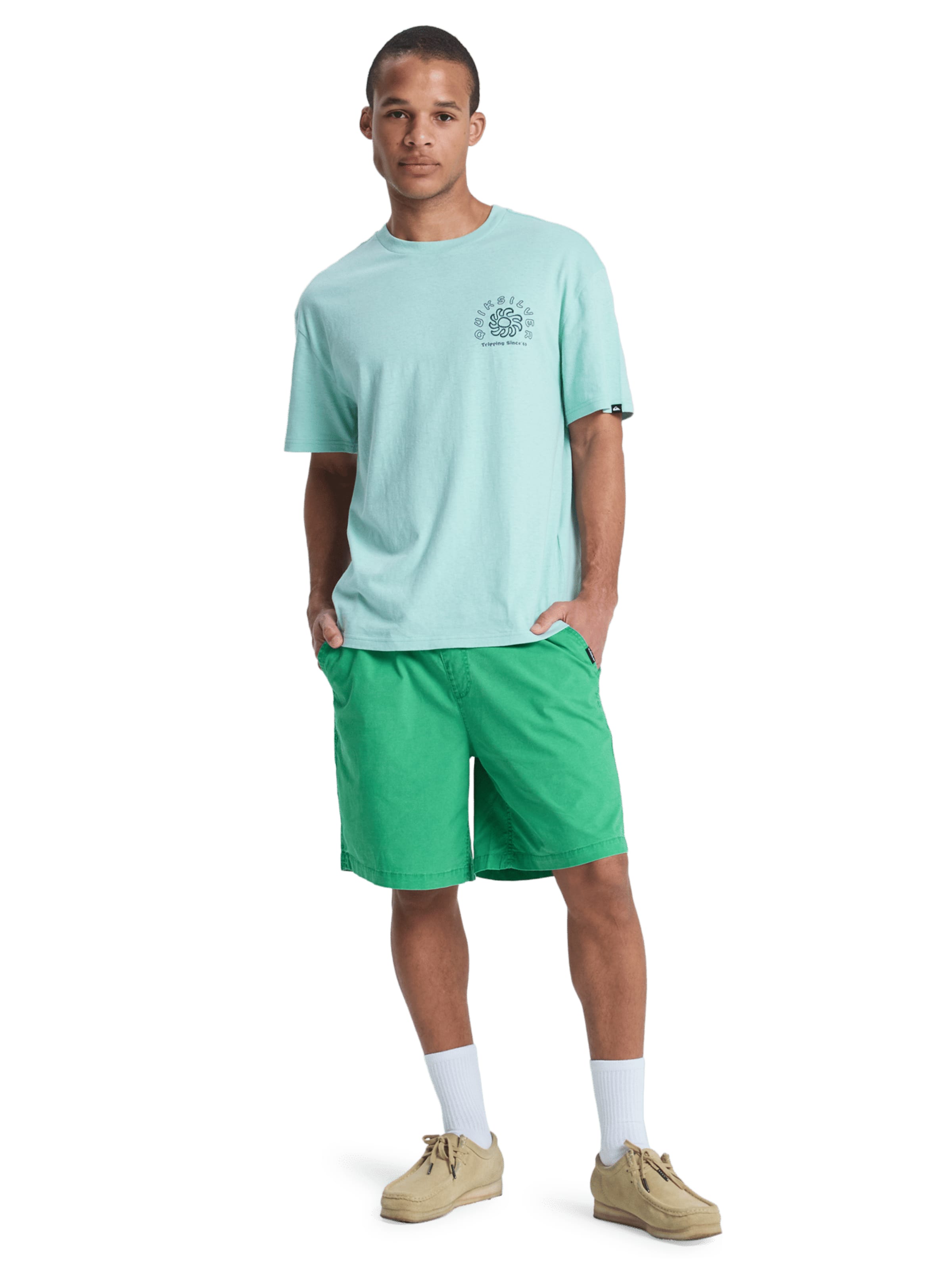 QUIKSILVER Regular Workout Pants 'Taxer' in Green