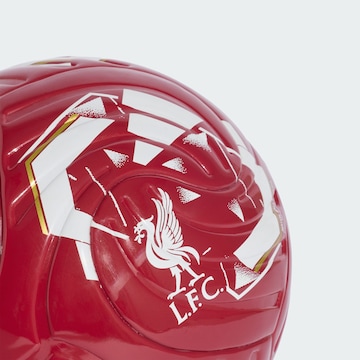 Pallone 'FC Liverpool' di ADIDAS PERFORMANCE in rosso