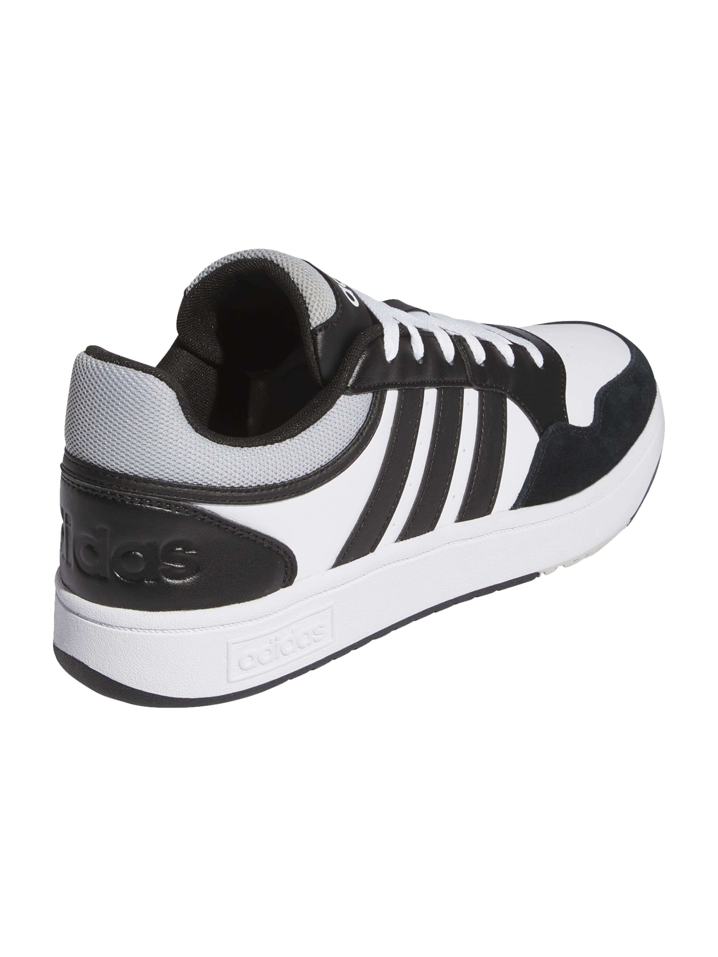 ADIDAS SPORTSWEAR Σνίκερ χαμηλό 'Hoops 3.0' σε λευκό: πίσω