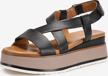 INUOVO Sandals in Black: front