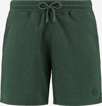 Pantaloni di Shiwi in verde: frontale