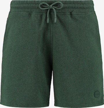 Shiwi Regular Broek in Groen: voorkant