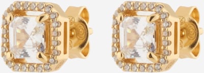 Auskarai 'BRILLIANCE' iš MICHAEL Michael Kors, spalva – Auksas / skaidri spalva, Prekių apžvalga