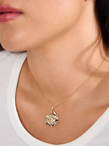 Chaîne 'HAZE' Pilgrim en or