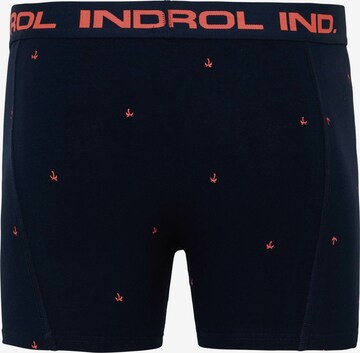 Petrol Industries Boxershorts in Rot