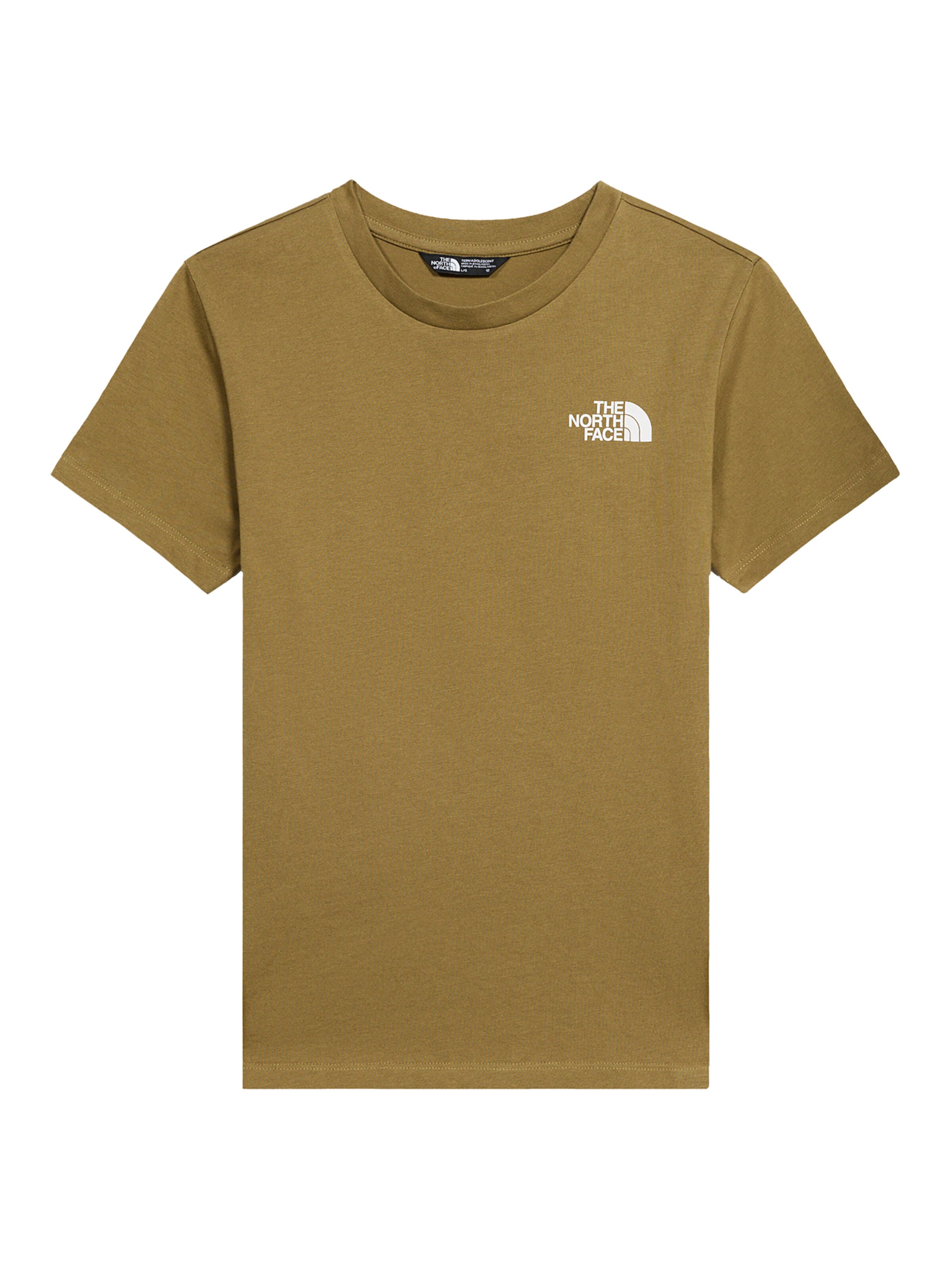 THE NORTH FACE Funktionsshirt 'SIMPLE DOME' in Grün: Vorderseite