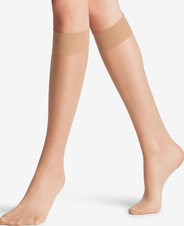 FALKE Knee High Socks 'Seidenglatt' in Gold: front