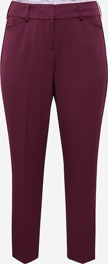 Fransa Trousers with creases 'Nola' in Wine red, Item view