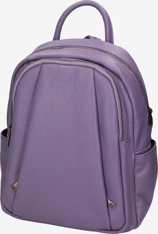 Gave Lux Rucksack in Lila: predná strana