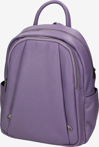 Gave Lux Backpack in Purple: front