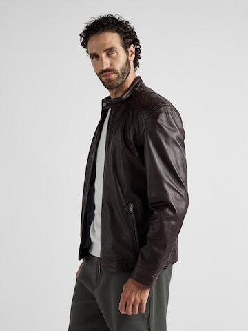 JCC Tussenjas in Bruin