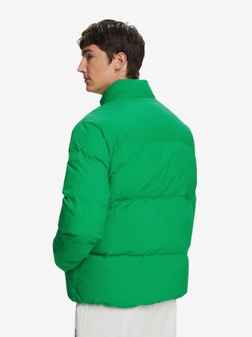 ESPRIT Winter Jacket in Green