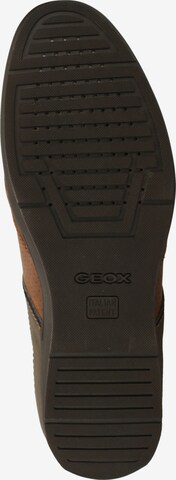 GEOX Sneaker 'Adrien' in Braun