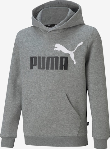 PUMA Sweatshirt in Grijs: voorkant