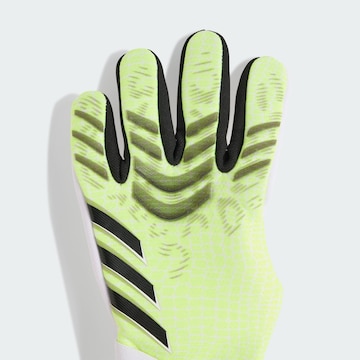 ADIDAS PERFORMANCE Sporthandschoenen 'Predator Pro' in Groen