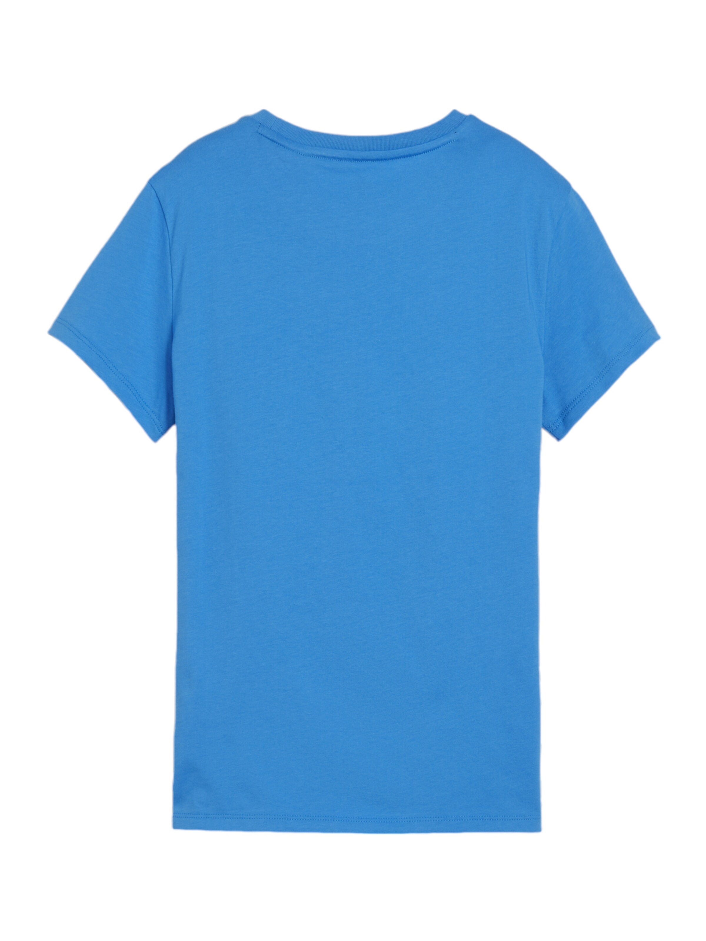 PUMA Performance Shirt 'TeamGOAL' in Blue
