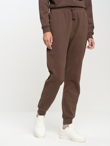 BIG STAR Tapered Pants 'Foxaner' in Brown: front